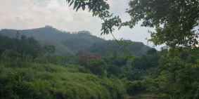 Bán đất Lương Sơn-Hoà Bình, tựa núi hướng thuỷ, QL HCM. 8200m2, 1x tỷ