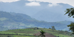 Chính chủ bán 2200m có 1000m thổ cư giá rẻ view cực thoáng Cao Phong Hoà Bình