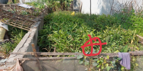 Bán gấp đất chia lô, sổ đỏ chính chủ