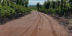 bán 1ha rẫy cà phê view suối thôn 8 cư bua thành phố buôn ma thuột