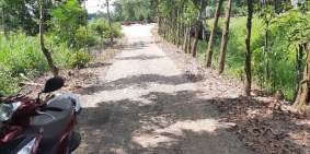 Chủ ngộp, bán lô đất tâm huyêt