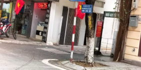 Bán Nhà Ba Đình 7 Tỉ, Nhà Sát Phố, Xây Kiên Cố, An Sinh Đỉnh