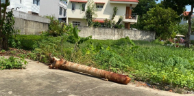 Kẹt KD cần ra gấp nền đường Dương Thị Giang, Tân Thới Nhất, q.12, giá chỉ 2.4 tỷ