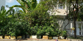 Sang gấp lô đất ngay Nguyễn Oanh, P17 Gò Vấp. 5x18m, gần cầu an lộc giá 2.8 tỷ