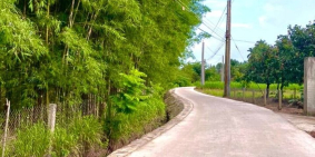 Cần bán 2 sào đất vườn dừa xen kẻ xoài tại Định Quán