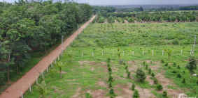 Bán 1000m2 Đất Vườn Đáng Đầu Tư Gần Đường ĐT 763 Cụm Công Nghiệp Phú Túc