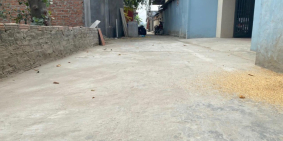 Đất đẹp 2 lô liền nhau 100m2, Đường Nhạn, Xuân Nộn, Đông Anh, Hà Nội. Giá 2x bé