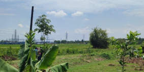 Đất MT Đường Nguyễn Thị Rành - Nhuận Đức - Củ Chi SHR 1,975 tỷ ful thổ cư