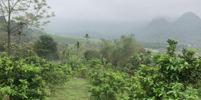 Cực hiếm! Bán đất full TC 2270m2 QL 12B xã Tú Sơn Kim Bôi, giá chỉ 2,1 tỷ