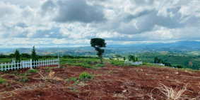 Bán 1000m2 đất nghỉ dưỡng view thung lũng giá chỉ 979tr tại Lâm Hà