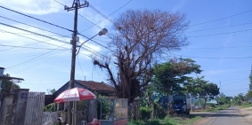 bất động sản yên Thế có gì mà lại được ưu ái đến vậy?