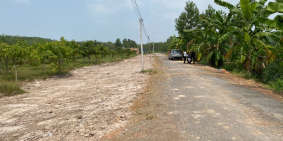 Đât full thổ cư, Tân Bình, Tây Ninh