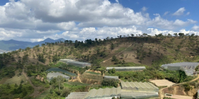 Bán nhanh lô đất biệt thự hai mặt tiền, 285m2 giá 9,5 tỷ, view rừng thông