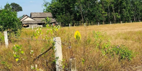 MUA ĐẤT PHONG MỸ KHÔNG CẦN LO NGHỈ SINH LỜI TIỀN TỶ CÓ NGAY CHỈ VÀNG