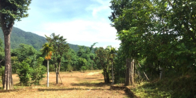 Bán 12ha Đất Nhà Vườn Chân Núi Thần Tài Hòa Vang Đà Nẵng 600m Đất Ở