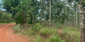 Đất ở 1 mẫu bds Thắng Hải Hàm Tân gần biển dân cư giá tốt đầu tư siêu lợi 4 tỷ t