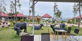 Booking liền tay nhận ngay 25 chỉ vàng