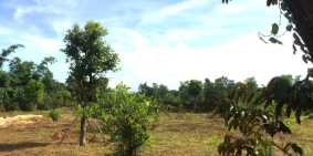 Siêu đẹp..! Bán 12ha Đất Nhà Vườn Chân Núi Thần Tài Hòa Vang Đà Nẵng 600m Đất Ở.