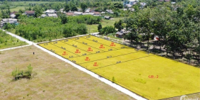 ĐẤT NỀN TÂN MỸ PHÁP LÝ HOÀN MỸ TẶNG NGAY CHỈ VÀNG