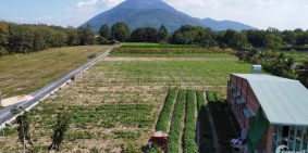 Đất Nền sổ sẵn chợ Thạnh Tân, huyện Tân Châu, Tây Ninh. View núi Bà Đen.