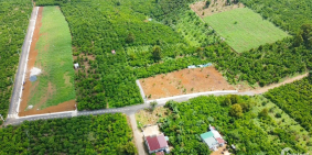 ĐẤT NỀN LẦM ĐỒNG Ngay Quốc Lộ 20 giá 680 triệu