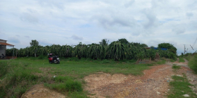 Đất bds Lập Đức Tân Lập Thuận Nam 34x52 1,22 triệu/m Bình Thuận đất ở còn đầu tư