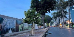 Mở bán 20 nền KDC Thành Thái, Q. 10, giá: 3,29 tỷ/60m2, LK Tô Hiến Thành