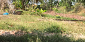 BÁN NHANH LÔ ĐẤT NỀN NGAY XÃ TÂN TẬP CẦN GIUỘC 310M2 , 2TỶ8.