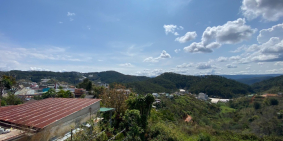 Cần bán gấp lô đất diện tích lớn, view rừng thông Hoàng Hoa Thám, Đà Lạt