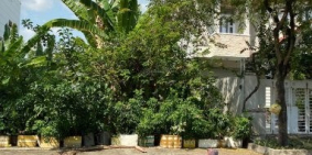 Sang gấp lô đất ngay Nguyễn Oanh, P17, Gò Vấp. DT 5x18m giá chỉ 2.1 tỷ