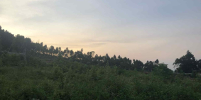 Hiếm có! Bán đất trang trại Hoà Bình. 3300m2 - View TP. Hà Nội. Giá nhỉnh 1tr/m