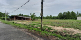 Bán đất gần trường tiểu học rộng 2000m2 chỉ 1,2 tỷ