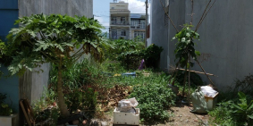 Ngộp Bank bán gấp nền đất Phạm Thị Nghĩa 75m2=850triệu