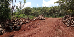 Đất mặt tiền đường 18m, Bù Đăng, Bình Phước, SHR