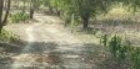 5179m2 đất Hoà Thắng hai mặt tiền đường cực đẹp, sổ sẵn, gần DT716