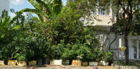 nCần bán gấp đất nền mt trương thị kiện-củ chi,shr,tc100%, giá chỉ 1tỷ350/100m2