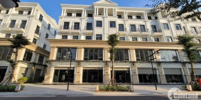 Cho thuê Shophouse 82,5m2 Vinhomes Ocean Park - Giá chỉ 12 triệu