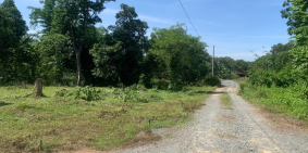 ĐẤT VƯỜN NGAY CHÂN NÚI CHỨA CHAN - CÁCH QL1A 2KM - CHỈ 1TỶ100