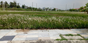 Đất nền biệt thự 200m2 Thanh Yến Residence Bến Lức Long An