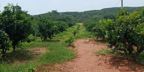 Chính Chủ Cần Bán 1.344m2 Đất Giáp Suối Tự Nhiên Ngay Hồ Trị An Định Quán 710ngà