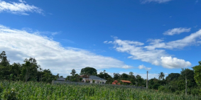 đất ONT 2 mặt tiền 3 sổ riêng đã tách mặt tiền đường Liên Doanh 2