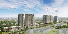 THÔNG TIN 43 SẢN PHẨM NHÀ PHỐ CELESTA AVENUE