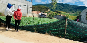 Đất Lạc Xuân, Đơn Dương, Lâm Đồng - Khu tái định cư - 10x29 full thổ cư giá 930t