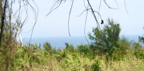 Bán đất đảo Phú Qúy - Bình Thuận. Lô góc 2 mặt tiền view biển tuyệt đẹp.