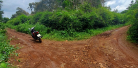 Mảnh đất HecTa từ xưa tại BMT có việc nên sang nhượng lại cho chủ mới