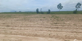 3 LÔ ĐẤT SÀO TẠI ĐỊNH AN, DẦU TIẾNG, BÌNH DƯƠNG GIÁ NGỘP