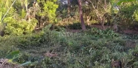 bán đất mặt tiền huyện lộ 94C, ấp Thới Bình, xã Thới Sơn, Thành phố Mỹ Tho