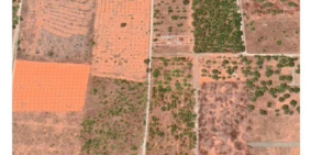 Bán gấp 1044m2 MT12,3m2 SHR 2Tỷxx Khu du lịch Mũi Né