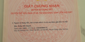 Chính chủ cần bán gấp lô đất Yên Mỹ,Thanh Mỹ,ST,HN
