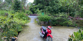 do kẹt tiền nên cần bán gấp xin cảm ơn